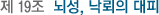 Á¦ 19Á¶ ³ú¼º, ³«·ÚÀÇ ´ëÇÇ